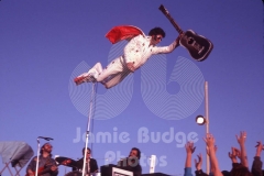 © Jamie Budge, all rights reserved.
ELVIS ARCHES STYLISHLY UP TIGHT
NO RIGHTS Implied by Possession of this CD.   Contact:
jamiebudge@windskate.com   (310) 453-4808