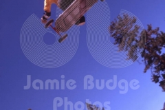 ALL TERRAIN UNDER ANGLE SKIMS TREES © Jamie Budge, all rights reserved.
UNDER ANGLE,  ALL TERRAIN BOARDER  SKIMS TREES