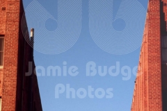 © Jamie Budge, all rights reserved.
INLINE SKATER RICH FOSTER JUMPS BETWEEN TWO BUILDINGS.  No Rights Implied by possession of this image.     Contact:
Jamie Budge (310) 453-4808  jamiebudge@windskate.com