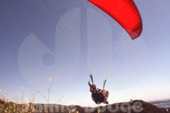 © Jamie Budge, all rights reserved.
NATHAN CARERAS SKIMS FLOWERS WITH HIS PARAGLIDER AS HE LAUNCHES ABOVE THE MALIBU HILLS.
No Rights Implied by possession of this image.     Contact:
Jamie Budge (310) 453-4808  jamiebudge@windskate.com