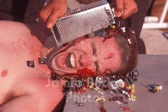 © Jamie Budge, all rights reserved.
CHEESE GRATE FACE from BACK YARD WRESTLING
NO RIGHTS Implied by Possession of this CD.   Contact:
jamiebudge@windskate.com   (310) 453-4808
