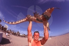 © Jamie Budge, all rights reserved.
KOMODO DRAGON OVERHEAD
NO RIGHTS Implied by Possession of this CD.   Contact:
jamiebudge@windskate.com   (310) 453-4808
