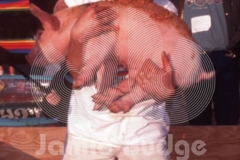 © Jamie Budge, all rights reserved.
PIG LICKER at SUPERBOWL STUNTS
NO RIGHTS Implied by Possession of this CD.   Contact:
jamiebudge@windskate.com   (310) 453-4808