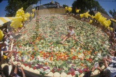 SALAD-Worlds-Biggest-GIRL-SITS