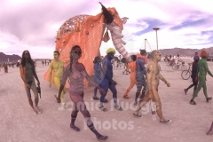 © Jamie Budge, All Rights Reserved.
"ELEPHANTASMO" IS ESCORTED BY NAKED "PINK FUZZY NIGHTS" THAT SEEMS TO INCLUDE BOTH GIRLS & GUYS.
NO RIGHTS Implied by posession of this CD.  Contact:
jamiebudge@windskate.com    (310) 453-4808
