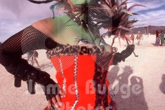 © Jamie Budge, All Rights Reserved.
"JOLLY GREEN SALOON GIRL WITH GRAPES" WAS ALSO "KAT WISE" WITH THE PAINTED HIPPIE BUS.
NO RIGHTS Implied by posession of this CD.  Contact:
jamiebudge@windskate.com    (310) 453-4808