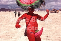 © Jamie Budge, All Rights Reserved.
"WATERMELON MAN" SAYS "I HAVE TO COME TO BURNING MAN TO FIND PEOPLE WHO UNDERSTAND ME!"
NO RIGHTS Implied by posession of this CD.  Contact:
jamiebudge@windskate.com    (310) 453-4808