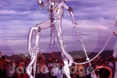 © Jamie Budge, All Rights Reserved.
"THREE FOOT LONG SCHLONG (With spring) WON UNANIMOUS APPLAUSE FROM CROWD AT BURNING MAN FASHION SHOW.
NO RIGHTS Implied by posession of this CD.  Contact:
jamiebudge@windskate.com    (310) 453-4808