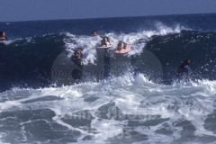 © Jamie Budge, all rights reserved.
SURFING DOGS, ROCKY, ROCKITO AND DUKIE, DROP INTO OVERHEAD WAVE AT LEO CARRILLO BEACH, IN MALIBU, CALIFORNIA.   No Rights Implied by possession of this image.     Contact:
Jamie Budge (310) 453-4808  jamiebudge@windskate.com