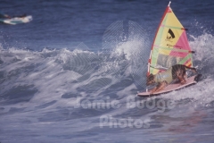 © Jamie Budge, all rights reserved.
ORIGINAL SURFING DOG "ROCKY" ALSO ENJOYS WIND SURFING ON THIS WHITE WATER WAVE AT LEO CARRILLO BEACH IN MALIBU, CALIFORNIA.    No Rights Implied by possession of this image.     Contact:
Jamie Budge (310) 453-4808  jamiebudge@windskate.com